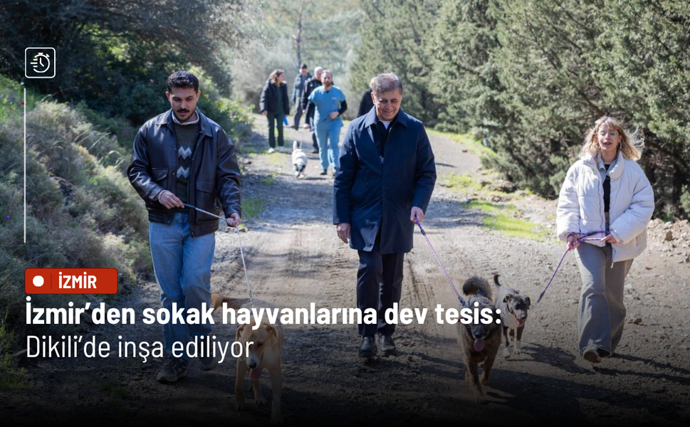 İzmir’den sokak hayvanlarına dev tesis: Dikili’de inşa ediliyor