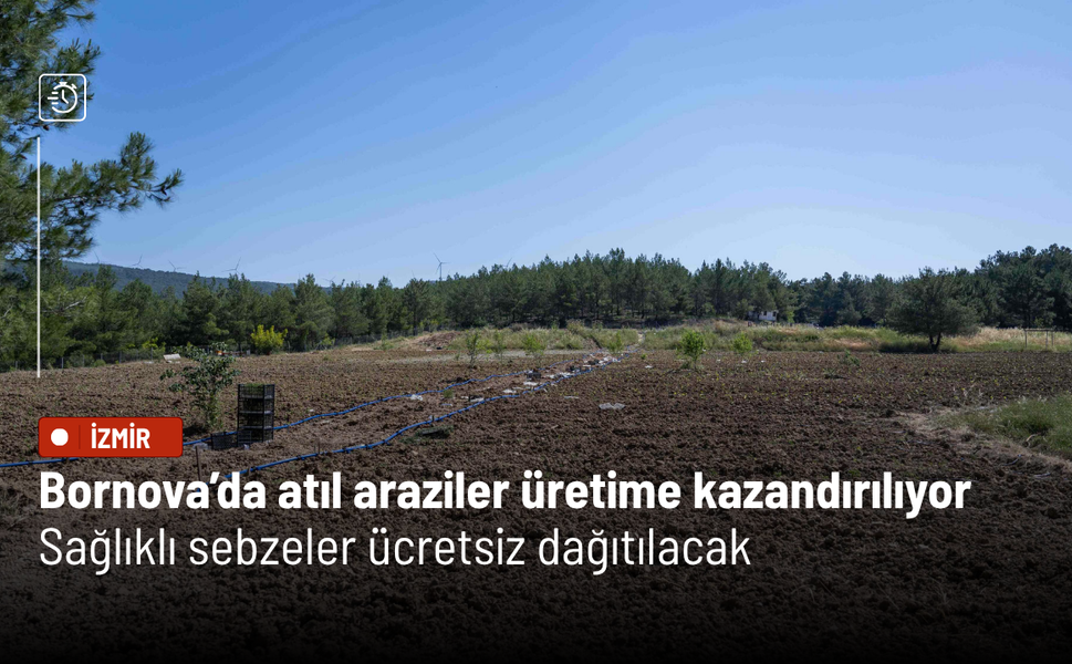 Bornova’da atıl araziler üretime kazandırılıyor: Sağlıklı sebzeler ücretsiz dağıtılacak
