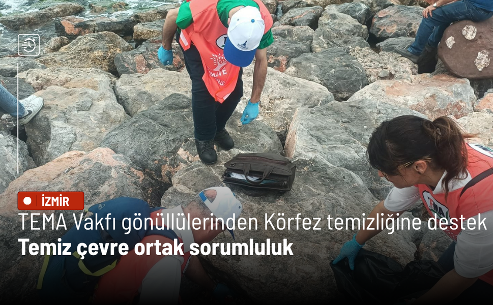 TEMA Vakfı gönüllülerinden Körfez temizliğine destek: Temiz çevre ortak sorumluluk