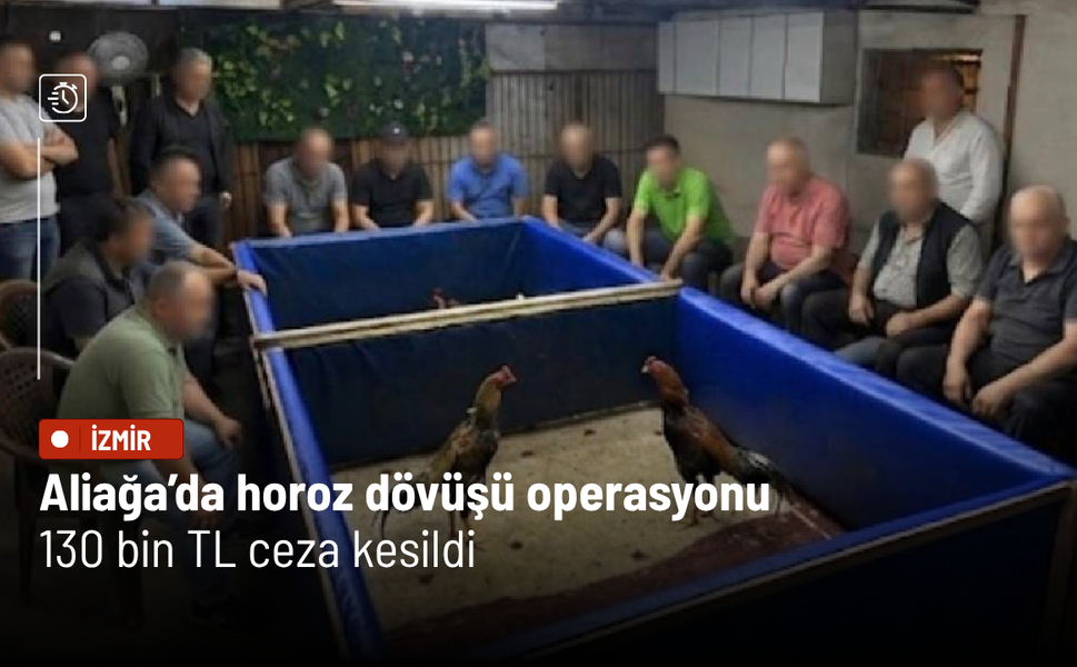 Aliağa’da horoz dövüşü operasyonu:130 bin TL ceza kesildi