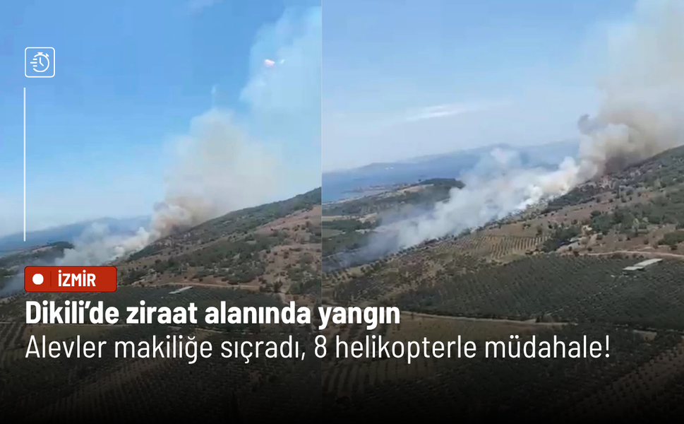 Dikili’de ziraat alanında yangın: Alevler makiliğe sıçradı, 8 helikopterle müdahale!