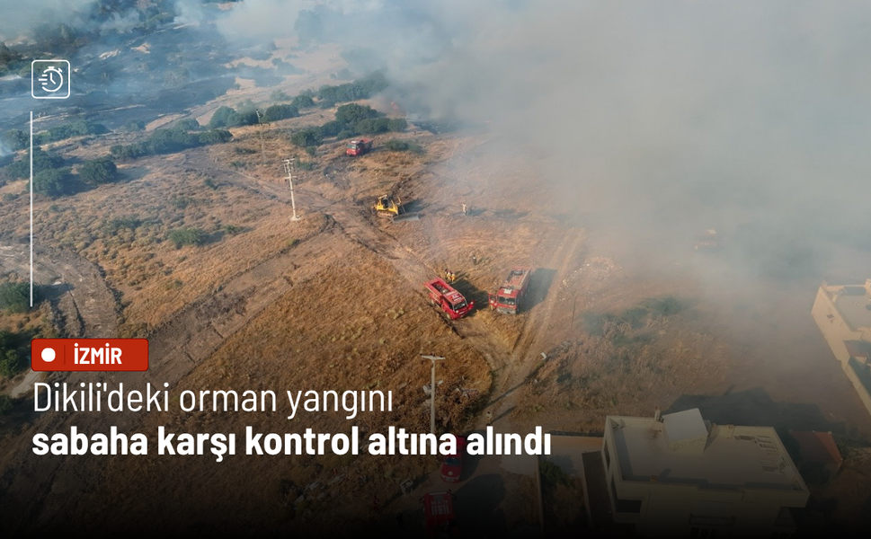 Dikili'deki orman yangını sabaha karşı kontrol altına alındı