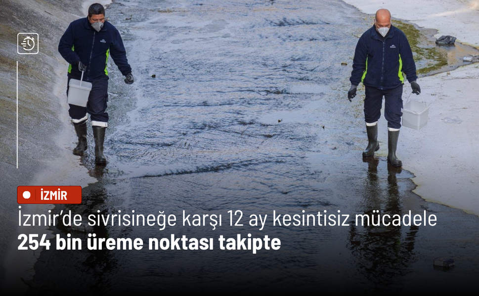 İzmir’de sivrisineğe karşı 12 ay kesintisiz mücadele: 254 bin üreme noktası takipte