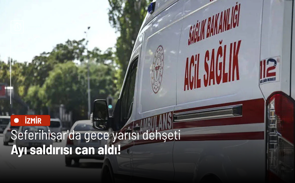 Seferihisar'da ayı saldırısı can aldı! 70 yaşındaki adam hayatını kaybetti