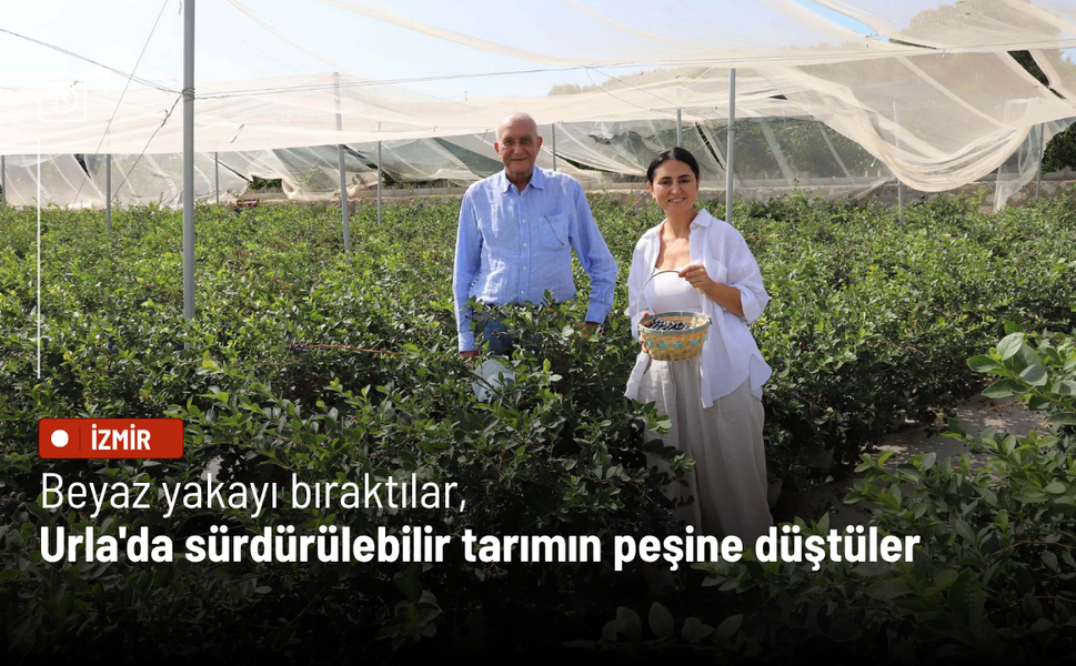 Beyaz yakayı bıraktılar, Urla'da sürdürülebilir tarımın peşine düştüler