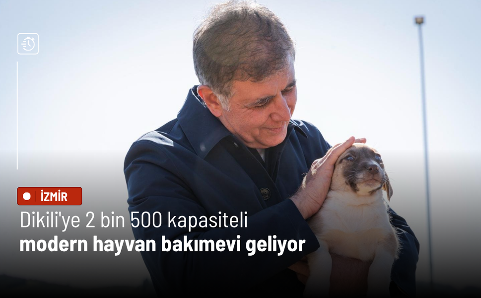 Dikili'ye 2 bin 500 kapasiteli modern hayvan bakımevi geliyor