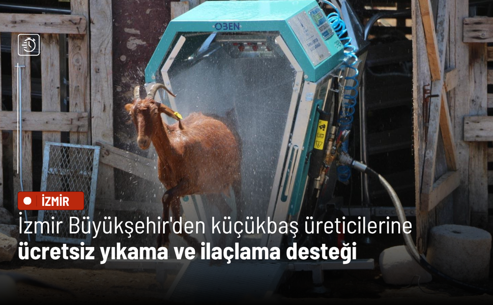 İzmir Büyükşehir'den küçükbaş üreticilerine ücretsiz yıkama ve ilaçlama desteği