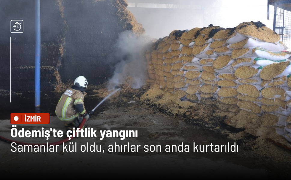 Ödemiş'te çiftlik yangını: Samanlar kül oldu, ahırlar son anda kurtarıldı