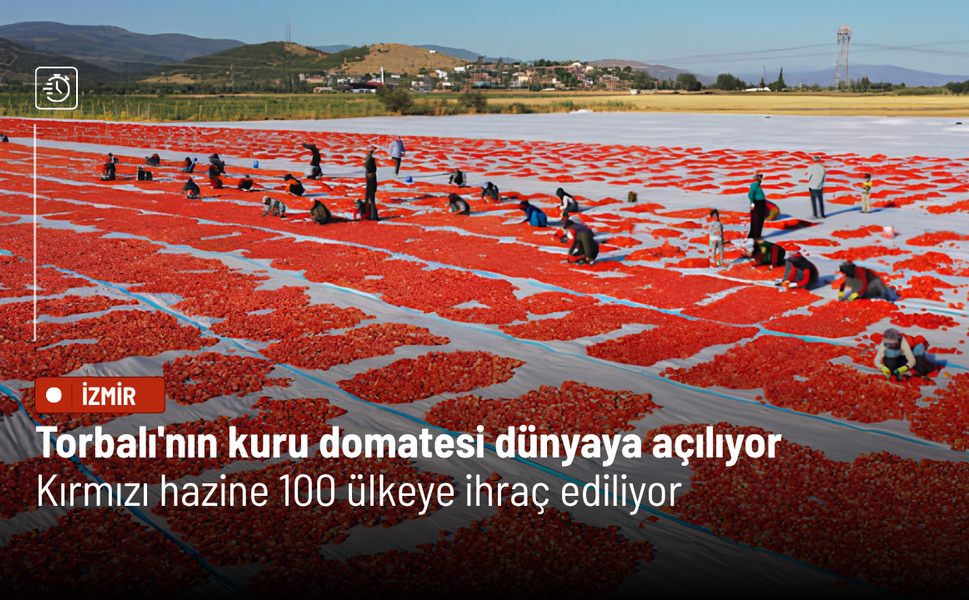 Torbalı'nın kuru domatesi dünyaya açılıyor: Kırmızı hazine 100 ülkeye ihraç ediliyor