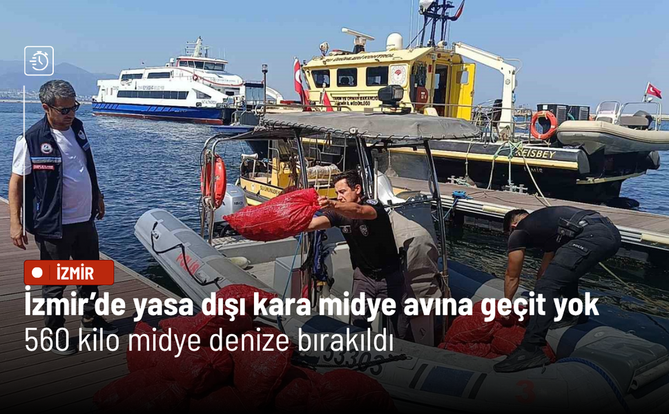 İzmir’de yasa dışı kara midye avına geçit yok: 560 kilo midye denize bırakıldı