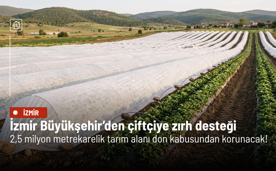 Büyükşehir'den çilek ve domates üreticisine can suyu