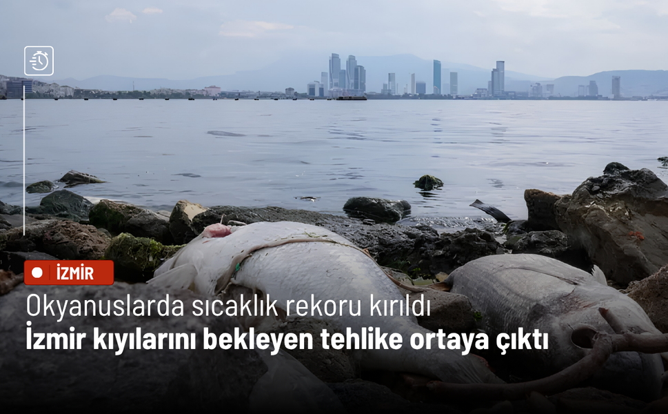 Okyanuslarda sıcaklık rekoru kırıldı: İzmir kıyılarını bekleyen tehlike ortaya çıktı