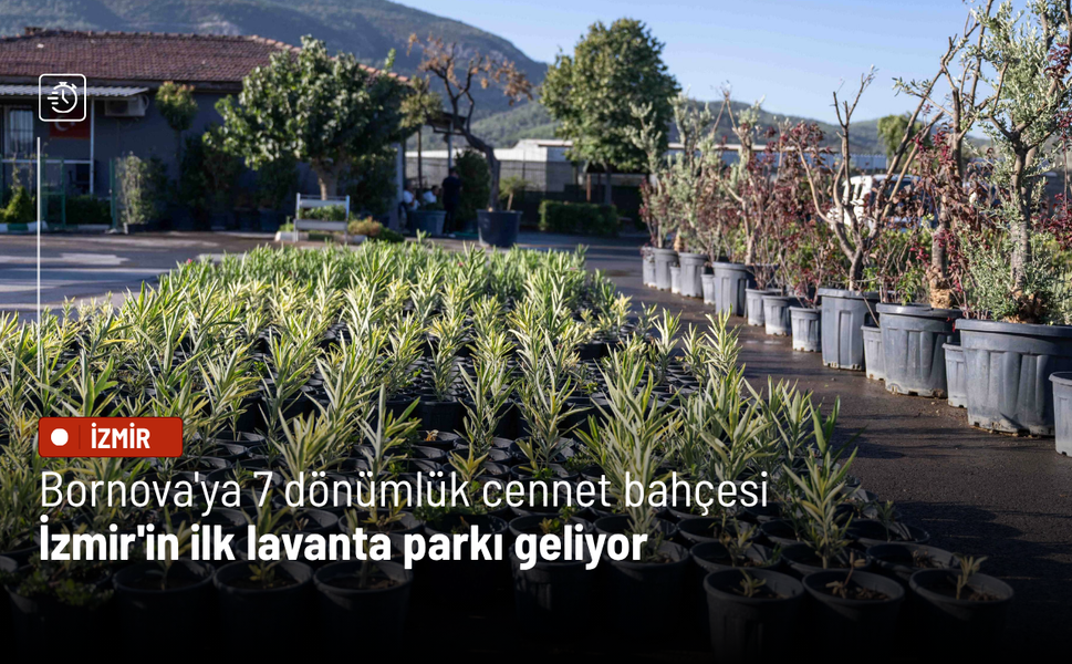 Bornova'ya 7 dönümlük cennet bahçesi: İzmir'in ilk lavanta parkı geliyor