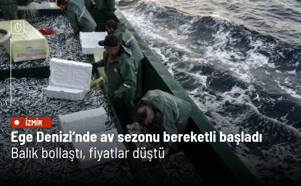 Ege Denizi’nde av sezonu bereketli başladı: Balık bollaştı, fiyatlar düştü