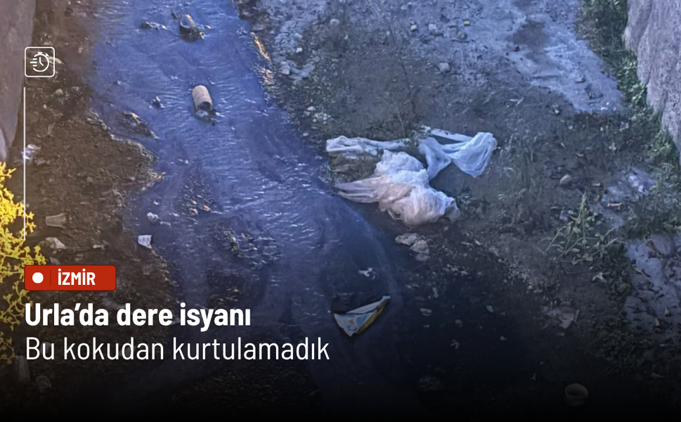 Urla’da dere isyanı: "Bu kokudan kurtulamadık"