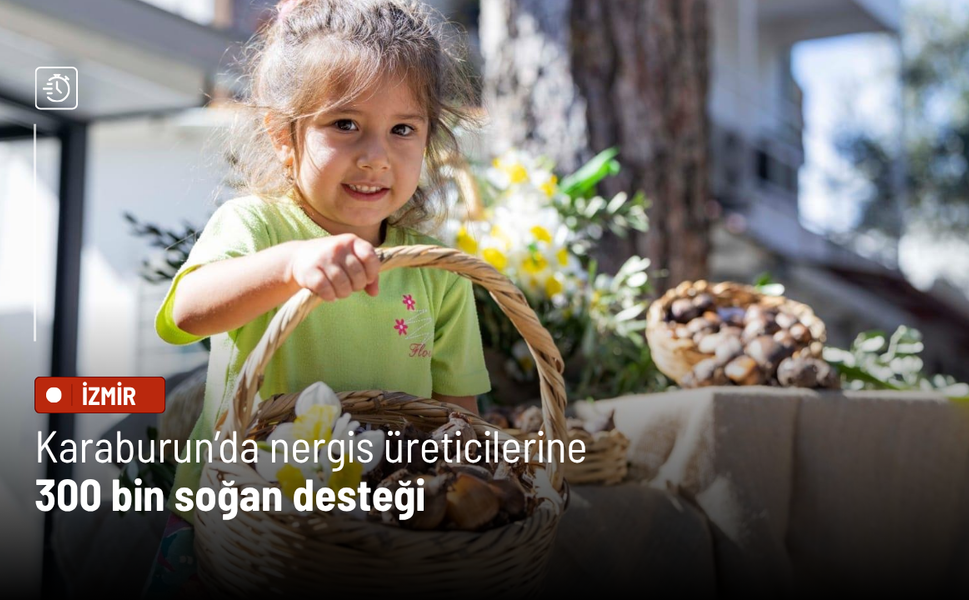 Karaburun’da nergis üreticilerine 300 bin soğan desteği
