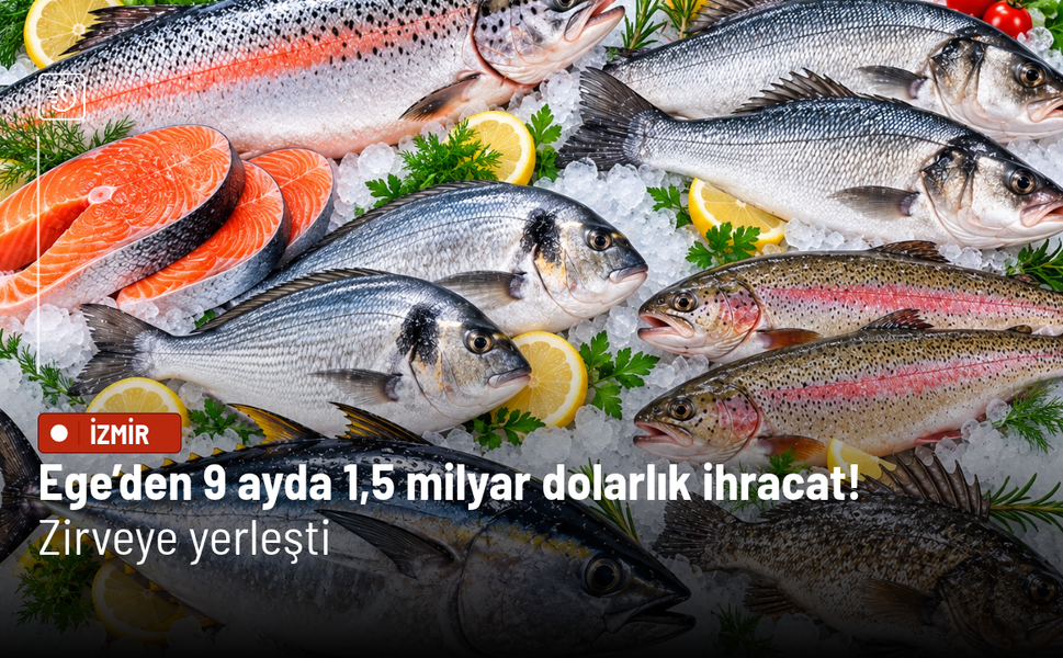 Ege’den 9 ayda 1,5 milyar dolarlık ihracat! Zirveye yerleşti