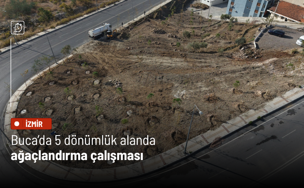 Buca’da 5 dönümlük alanda ağaçlandırma çalışması
