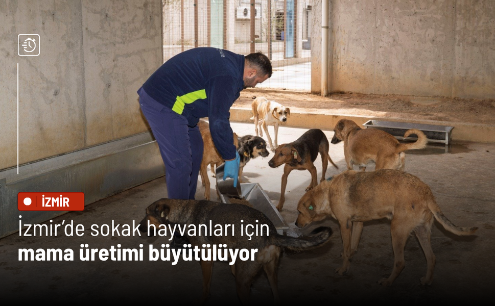 İzmir’de sokak hayvanları için mama üretimi büyütülüyor