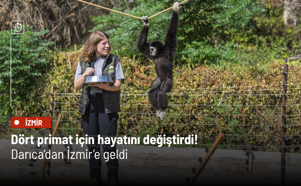 Dört primat için hayatını değiştirdi! Darıca’dan İzmir’e geldi