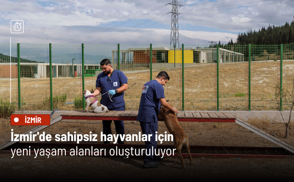 İzmir'de sahipsiz hayvanlar için yeni yaşam alanları oluşturuluyor