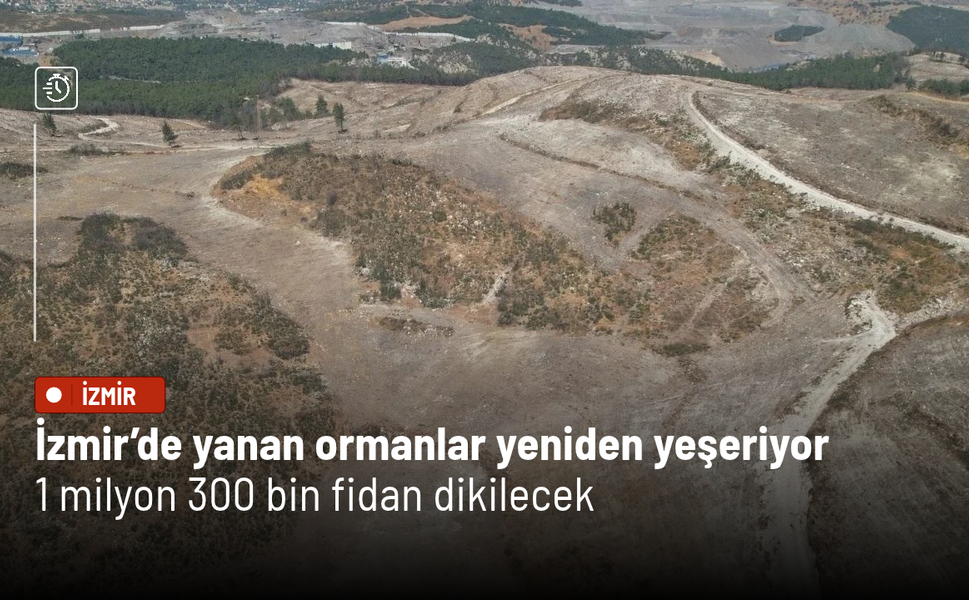 İzmir’de yanan ormanlar yeniden yeşeriyor: 1 milyon 300 bin fidan dikilecek
