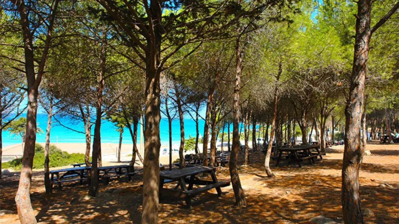 6. Tanay Tabiat Parkı (Çeşme)