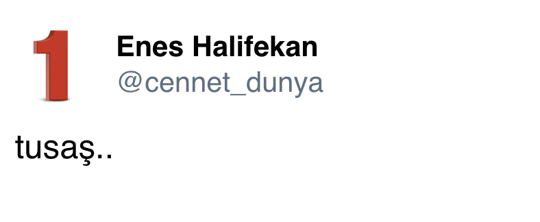 Cennet Dünya Ss 1