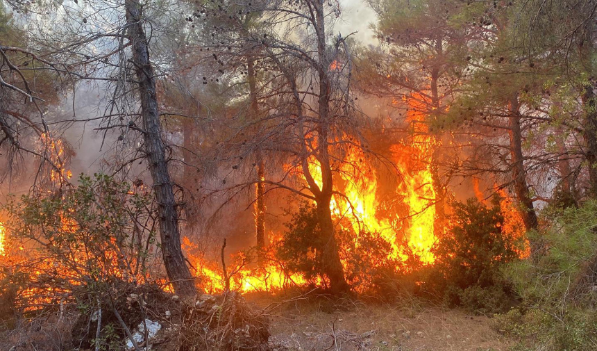 Çanakkale Lapseki'de Orman Yangını Müdahale Sürüyor!