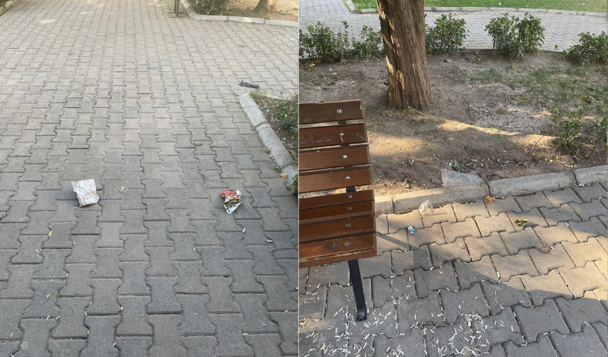 Çekirdek Kabuğu Parkı (3)