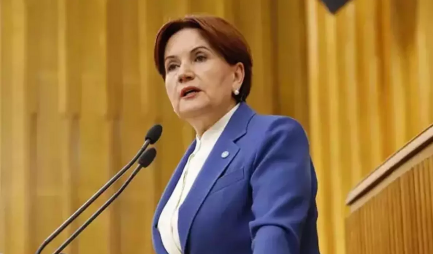 Meral Akşener vakıf kuruyor: İşte vakfın logosu