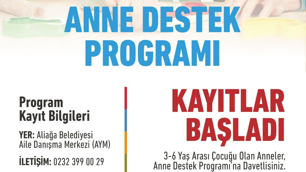 Anne Destek Programıı