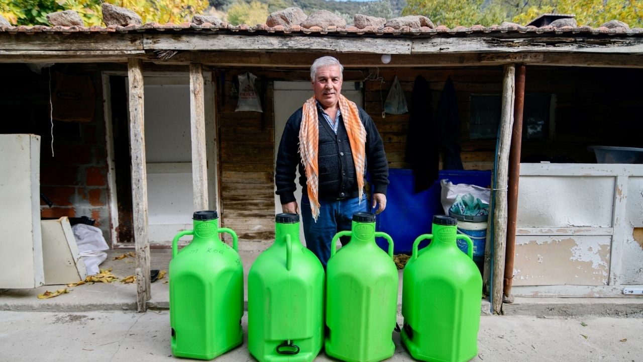 Bornova Zeytin Lojistik Destek Sağlıyor