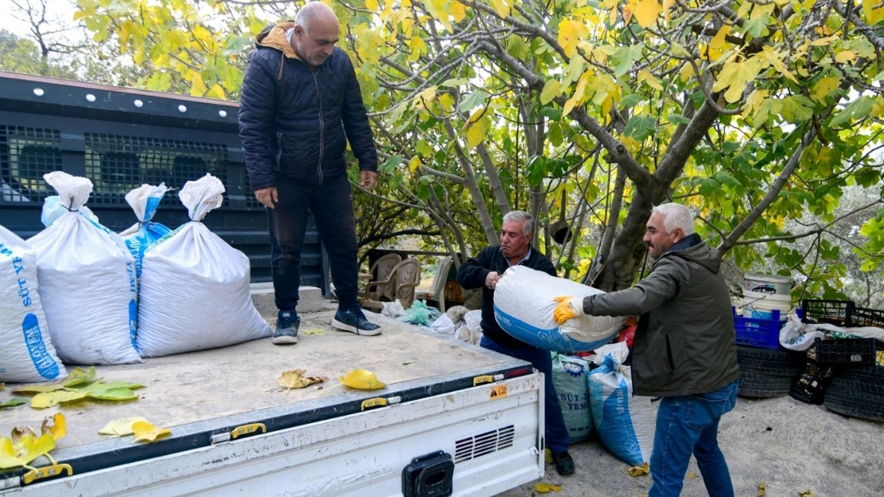 Bornova Zeytin Lojistik Destek