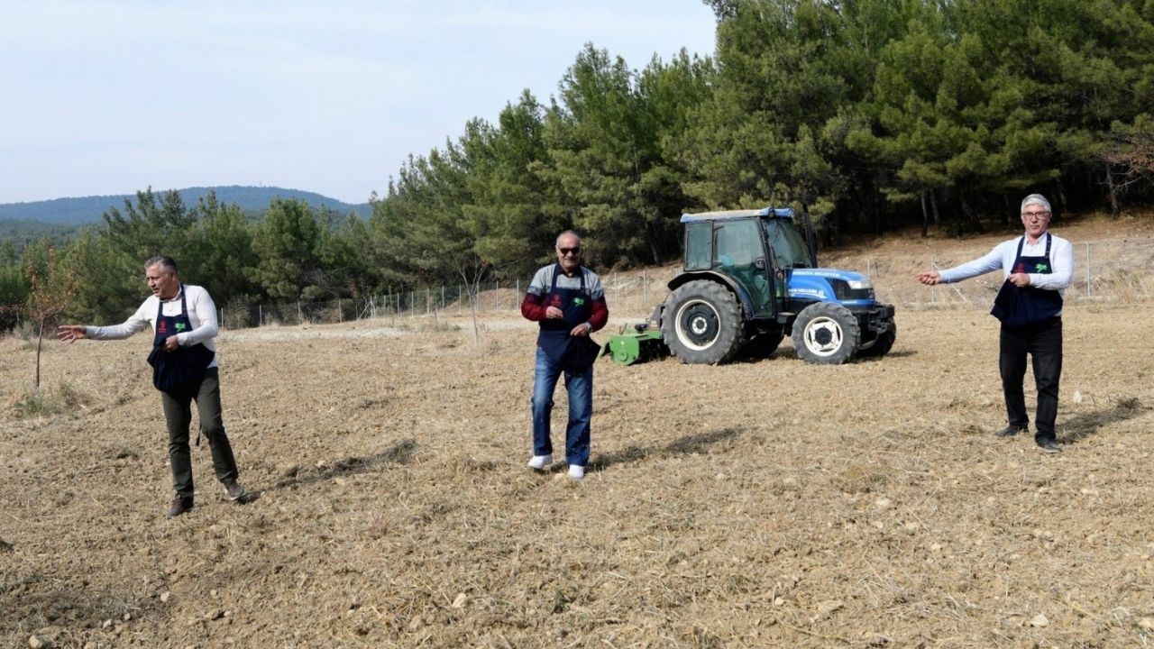 Bornova'dan Tarıma Destek Ege Yıldızı Buğdayı Toprakla Buluştu (2)