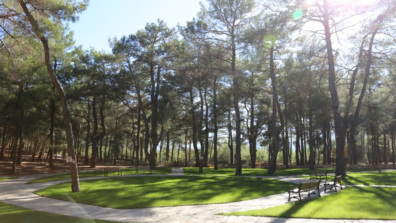 İzmir Kemalpaşa’da Aileler Için Doğayla Iç Içe Eğlence Park Orman (4)