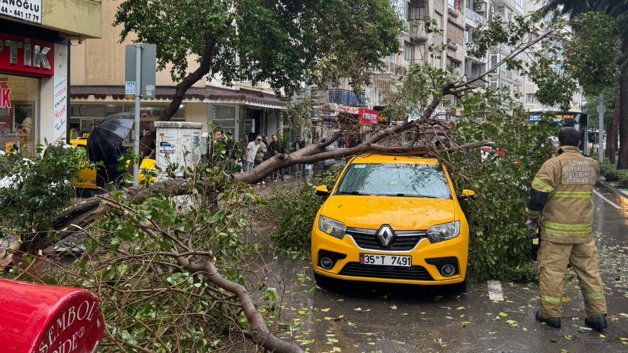 İzmir Mithat Paşa Caddesi'nde Taksinin Üstüne Ağaç Devrildi! (1)