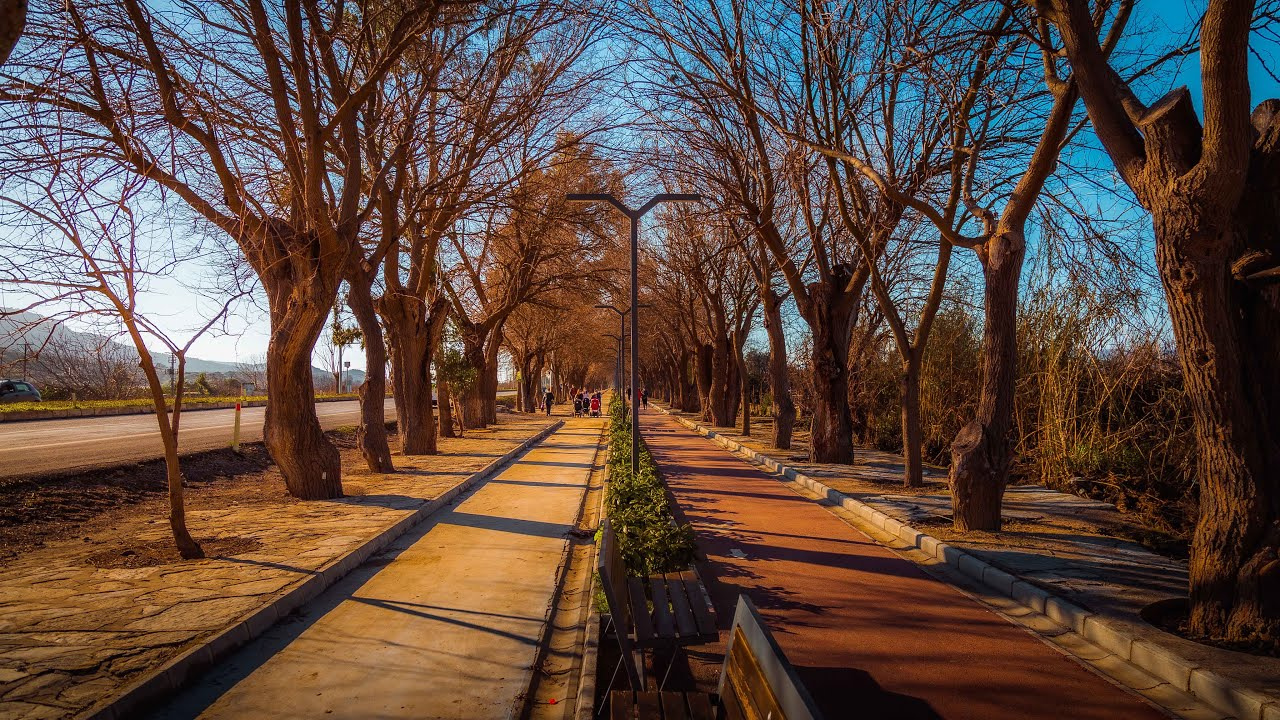 İzmir Selçuk'ta Dutlu Yol Eşsiz Bir Sonbahar Rotası! (1)