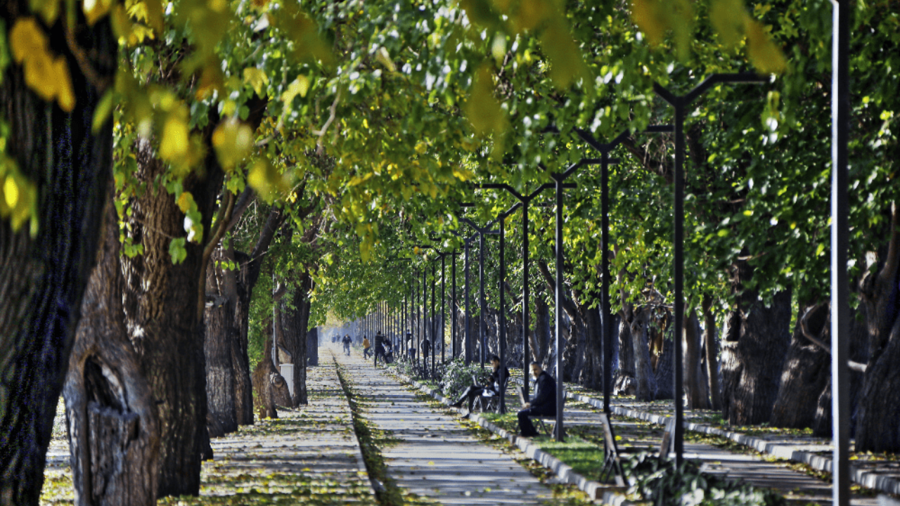 İzmir Selçuk'ta Dutlu Yol Eşsiz Bir Sonbahar Rotası! (2)