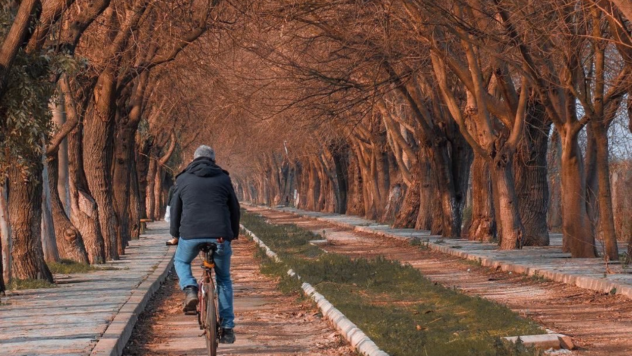 İzmir Selçuk'ta Dutlu Yol Eşsiz Bir Sonbahar Rotası! (3)