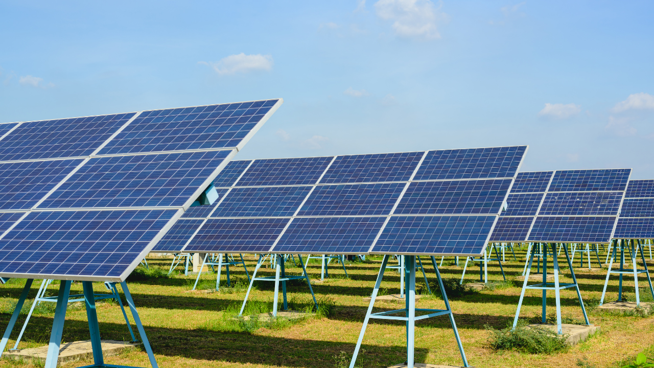 İzmir Torbalı'da Dadaşlar Palet'ten Güneş Enerjisi Ile Çevre Dostu Üretimmm