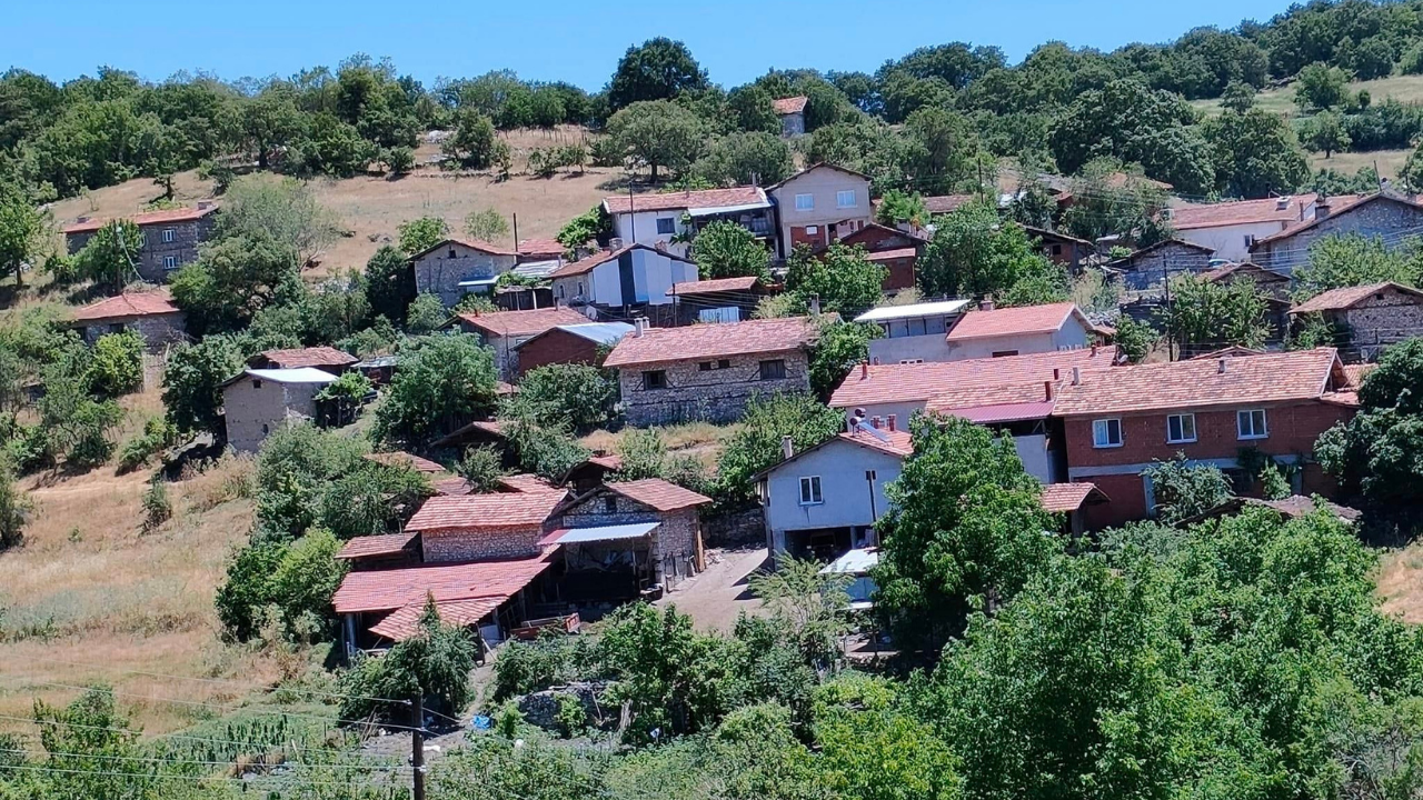 Poyracık