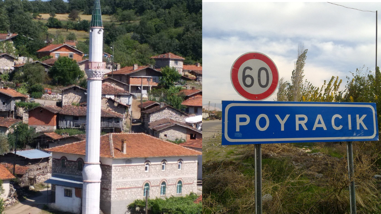 Poyracık2