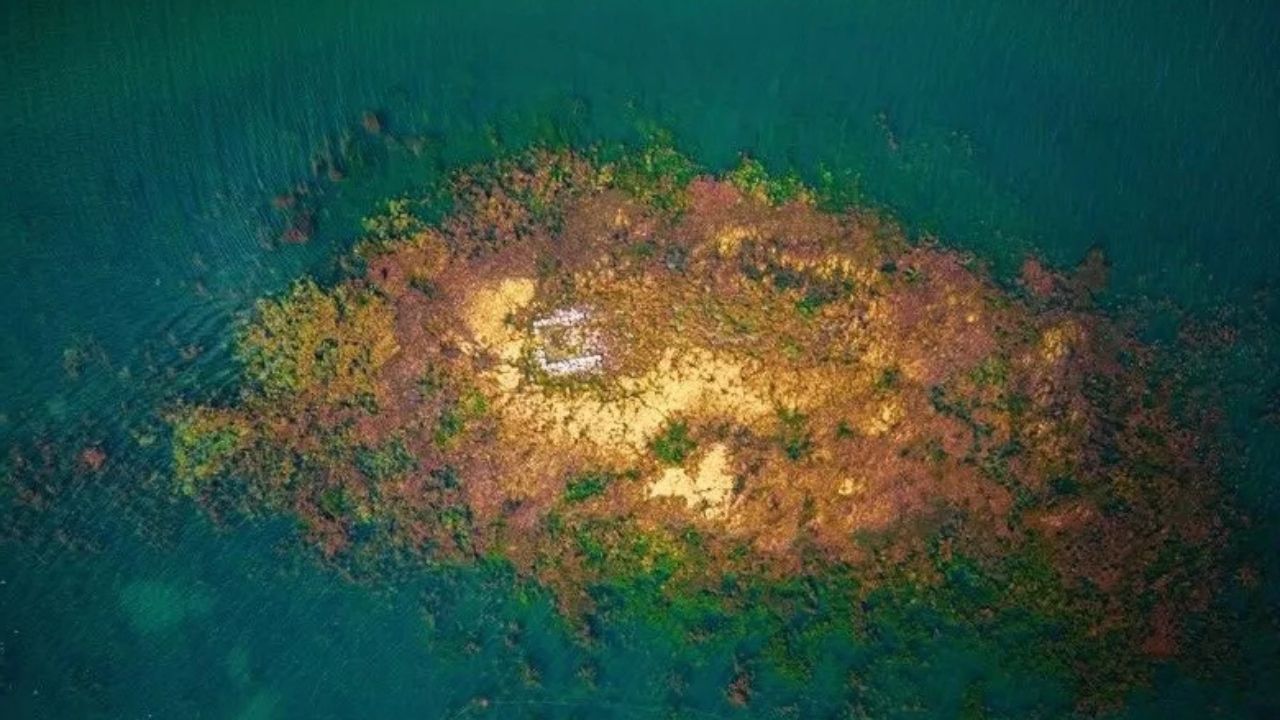 Sapanca Gölü Su Çekilmesi