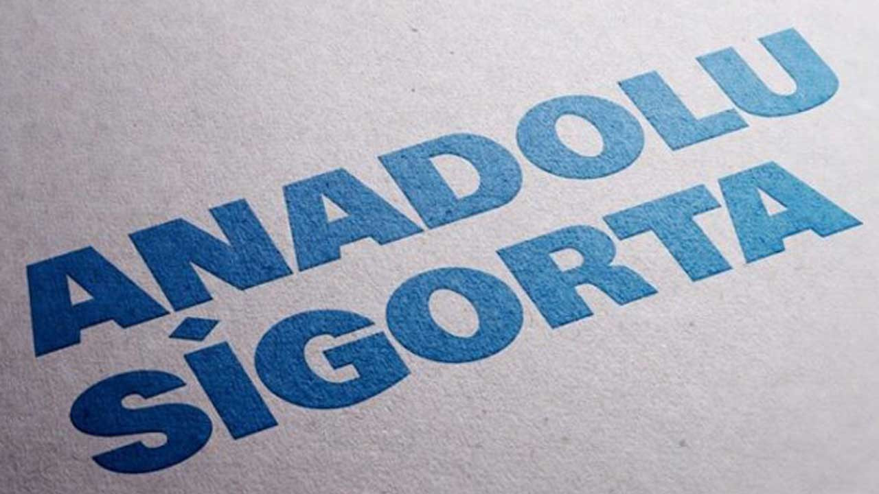 Anadolu Sigorta2