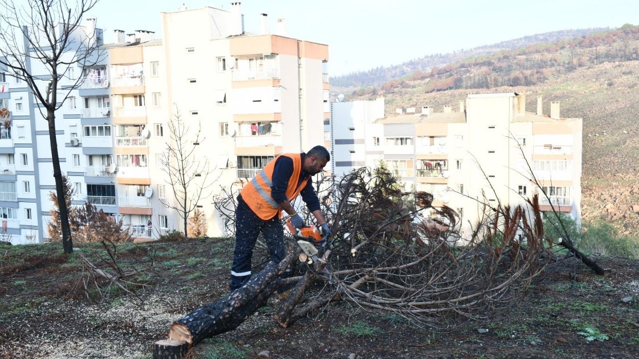 Çiğli Orman Yangın Yeşertme