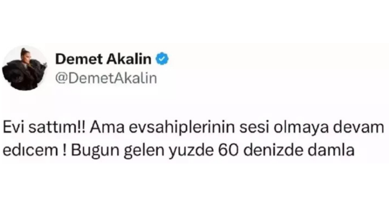 Demet Akalın-1