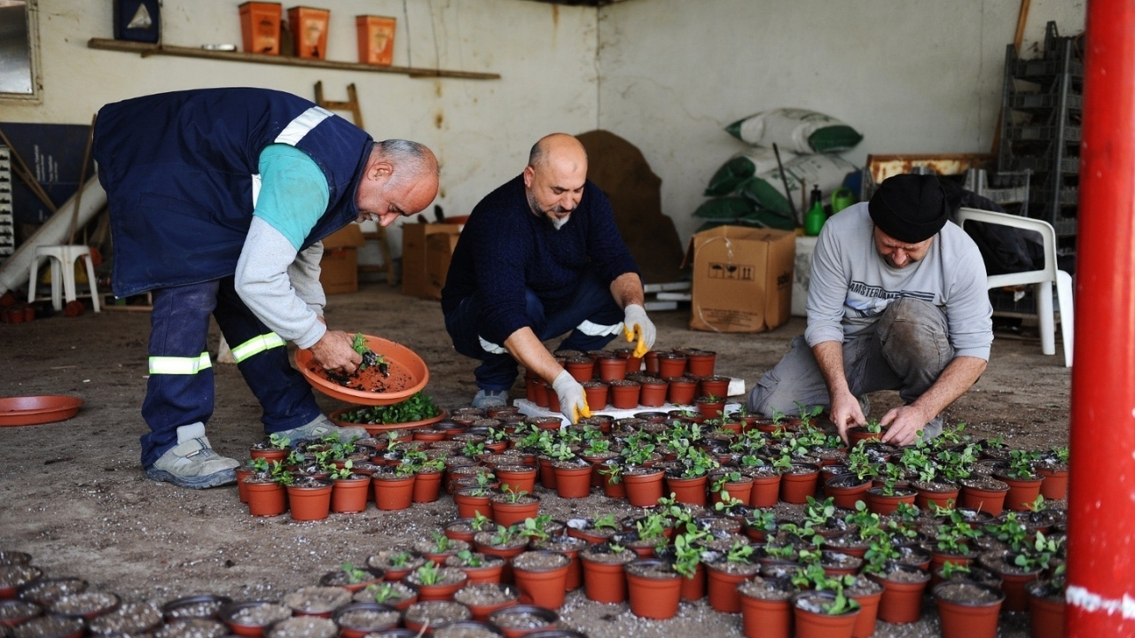 Karşıyaka Çiçek Serası