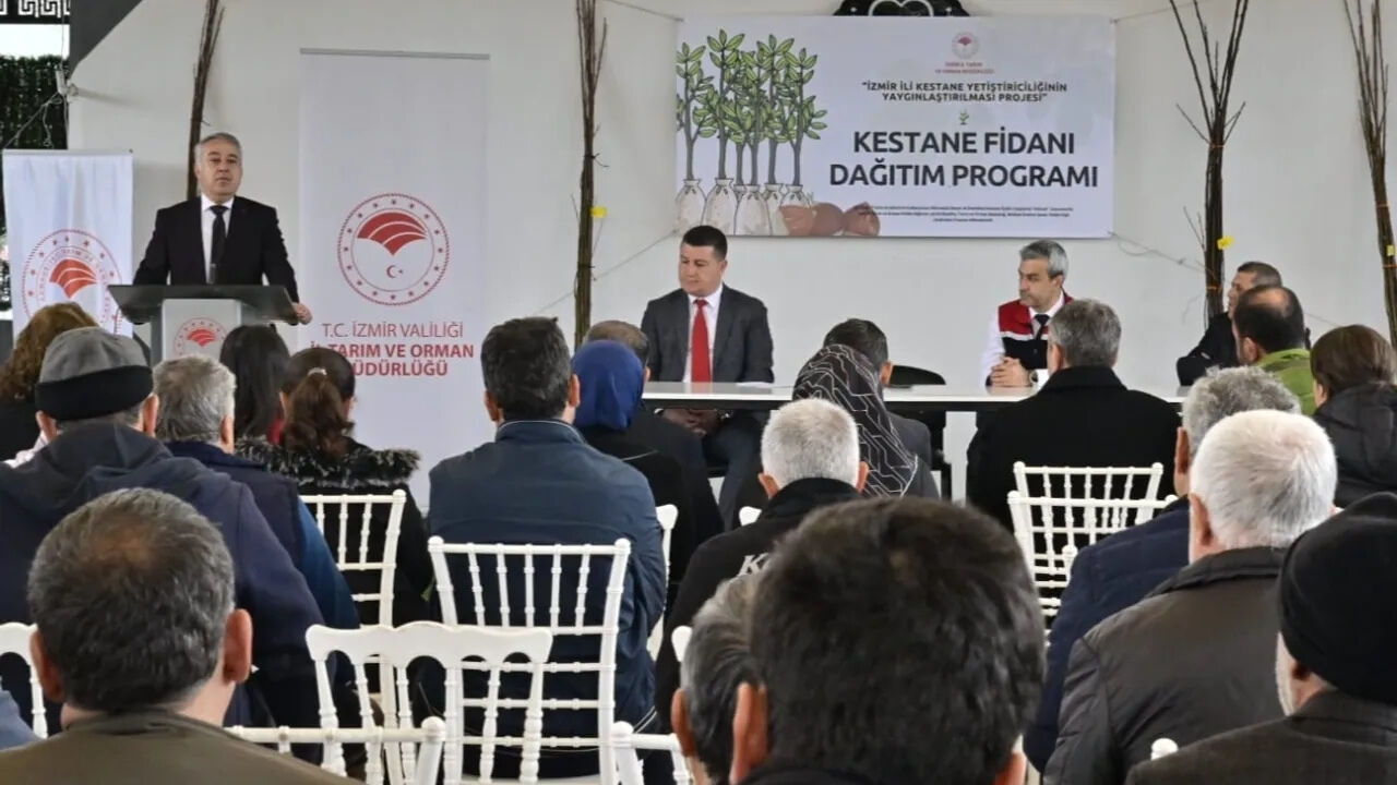 Kestane Fidanı Dağıtımı