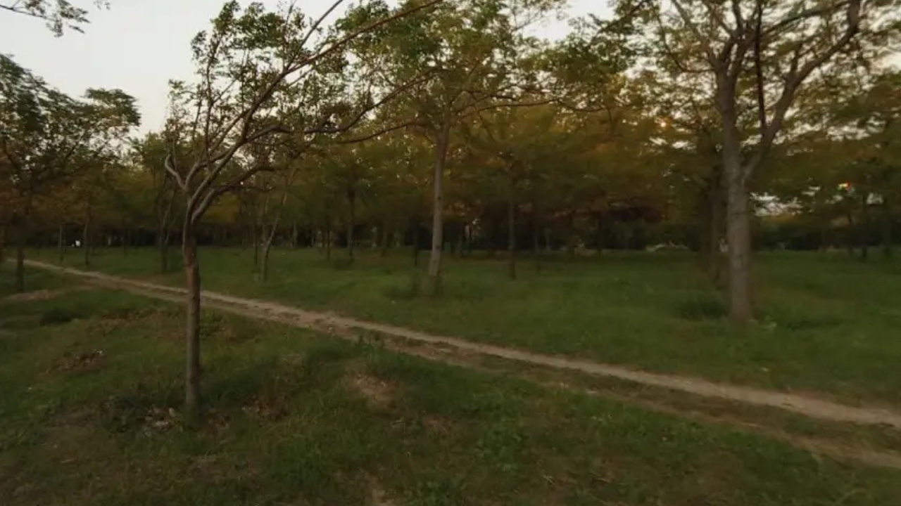 Inciraltı Kent Ormanı